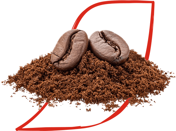 roasted coffee beans