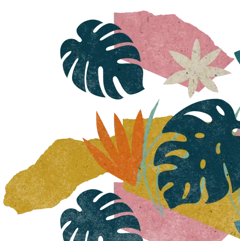 Plants-Illustration